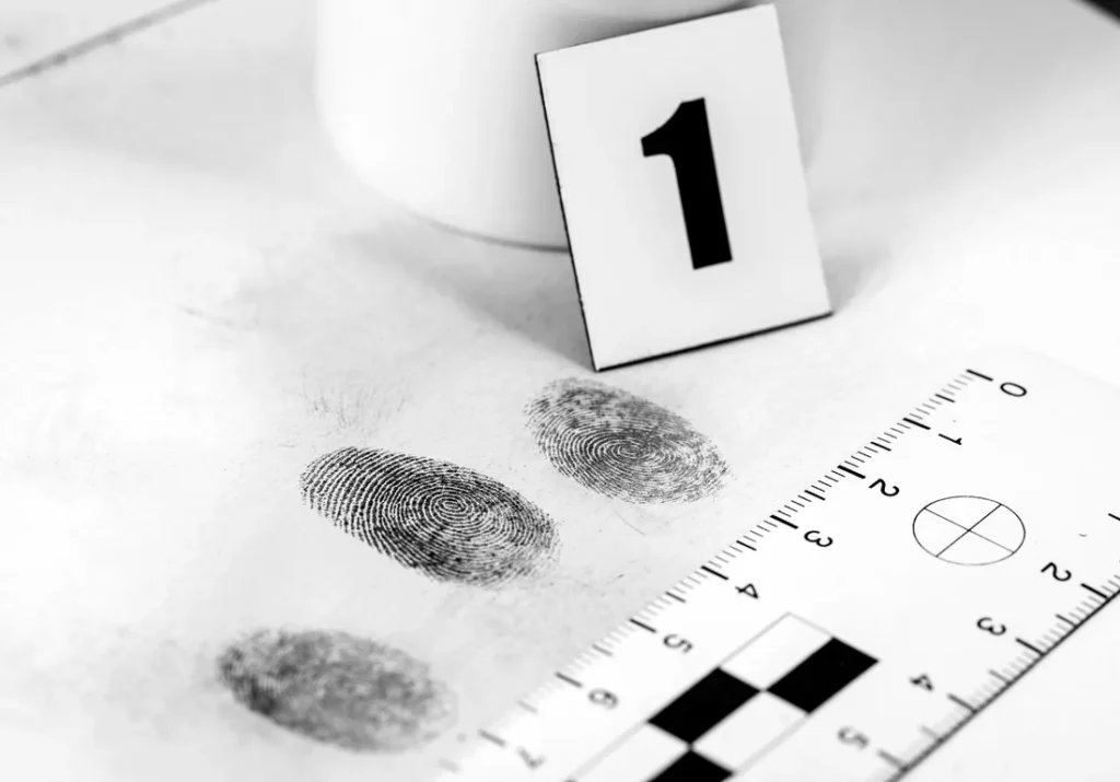 Evidencia forense: tipos, análisis e importancia | ZOGBI