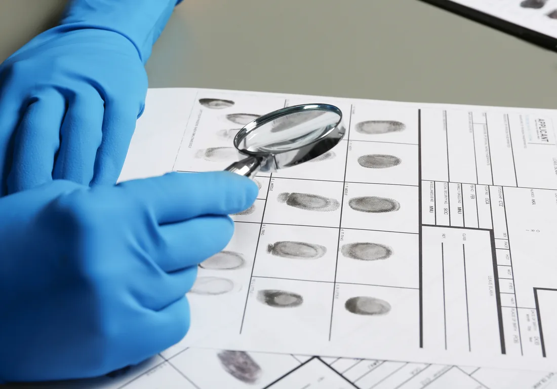 Medicina forense: áreas de estudio e importancia | ZOGBI