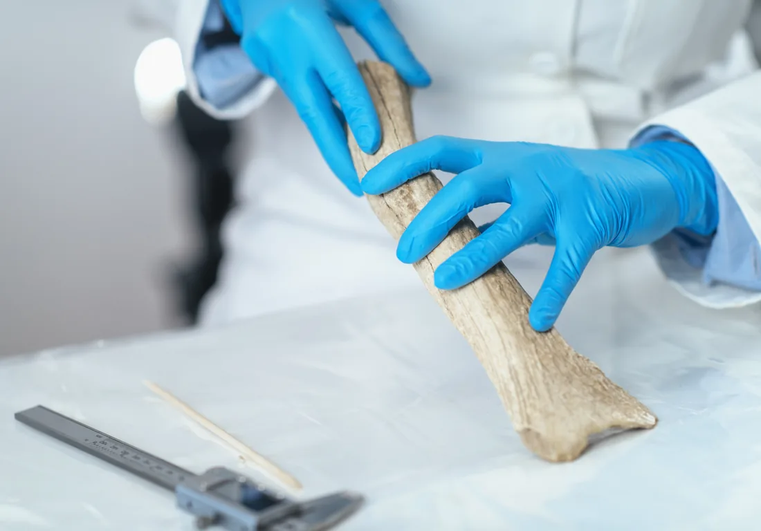 Traumatología forense: análisis de lesiones | ZOGBI